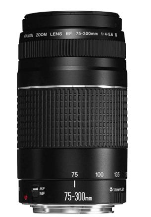 Canon EF 75-300mm f/4-5.6 III Telephoto Zoom Lens